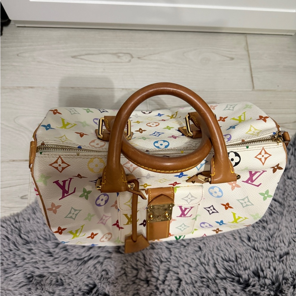 Louis Vuitton Multicolor Speedy 30 - Picture 13 of 17